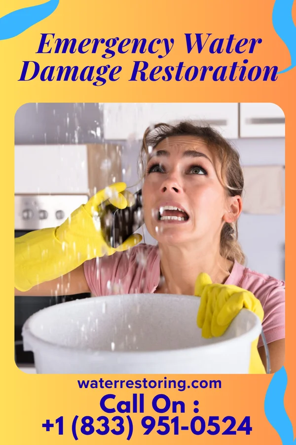 Emergency Water Damage Restoration in Shady Dale, GA